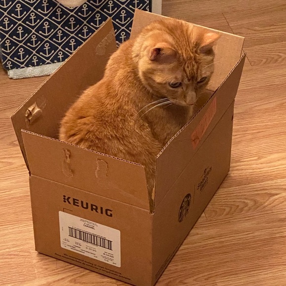 Pet Friendly Home πΆπ± - Picture 1 of 16